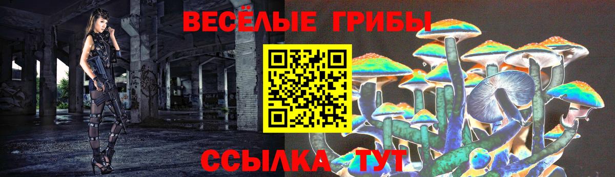 Галлюциногенные грибы Psilocybe  как найти закладки  Волгоград 