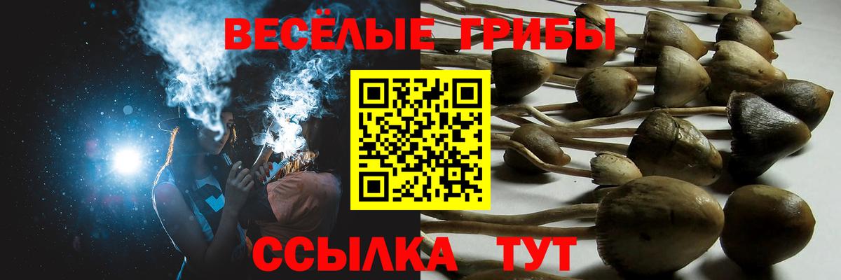 Волгоград  Галлюциногенные грибы GOLDEN TEACHER  Галлюциногенные грибы мицелий  Вход с VPN 